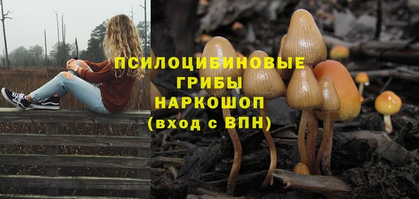 PSILOCYBIN Арсеньев