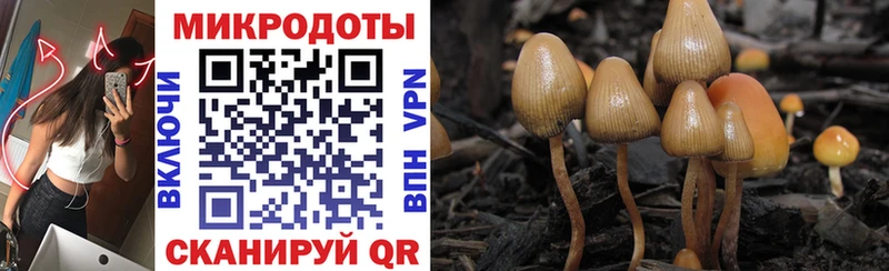 даркнет сайт  Нарткала  Галлюциногенные грибы Magic Shrooms 