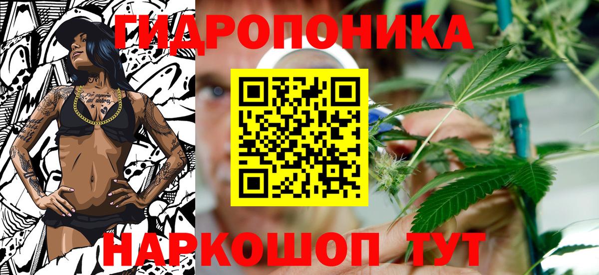 Бошки Шишки THC 21% Нарткала